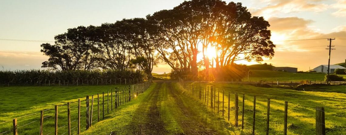country life