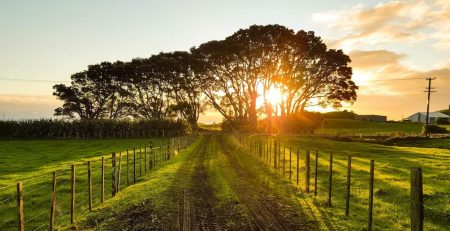 country life