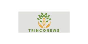 trinconews logo logo